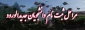 دستور العمل ثبت نام دانشجویان نو ورود  مقطع  کاردانی به کارشناسی ( کارشناسی ناپیوسته) 1404